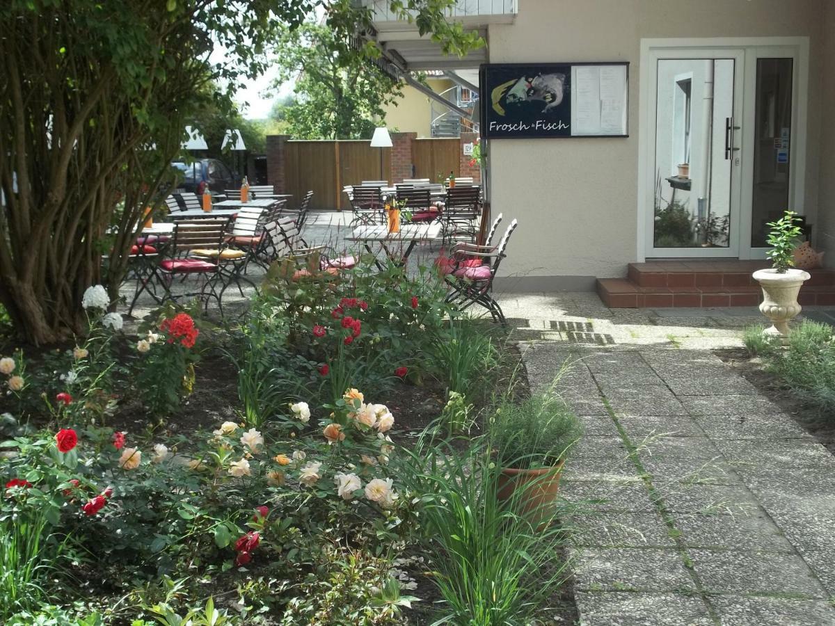 Bed and Breakfast "Frosch & Fisch" Himmelpfort Exteriér fotografie